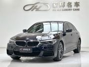 宝马5系 2020款 530Li  领先型 M 运动套装